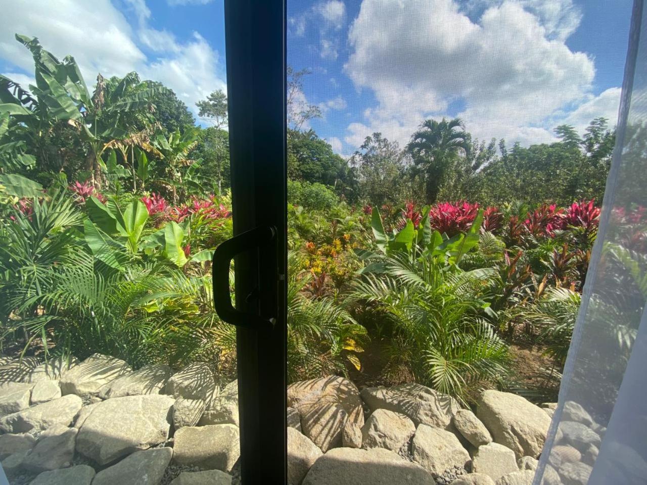 Toucan Home La Fortuna المظهر الخارجي الصورة