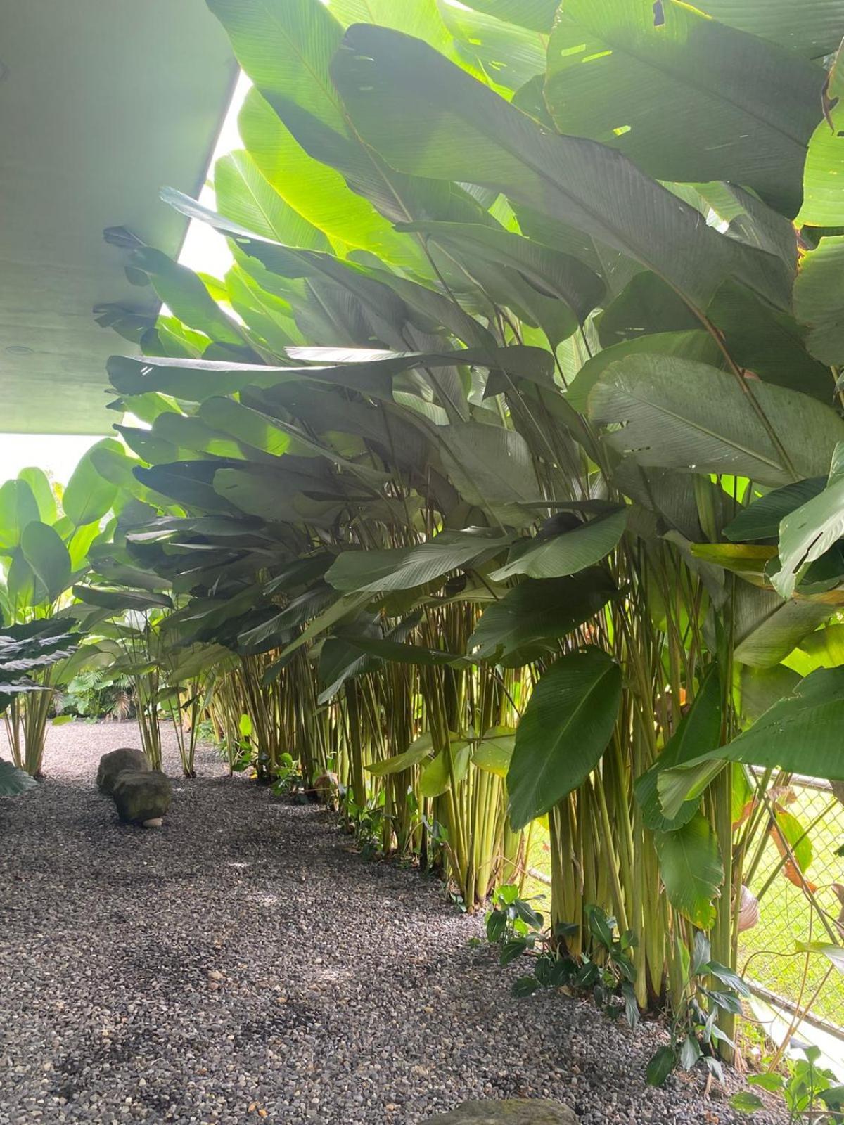 Toucan Home La Fortuna المظهر الخارجي الصورة