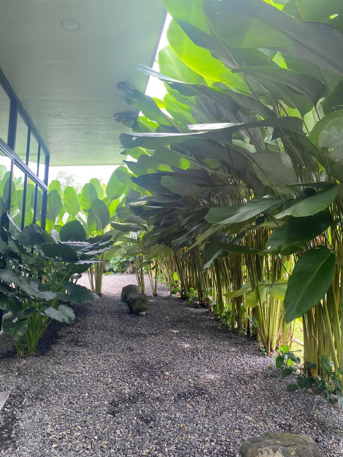 Toucan Home La Fortuna المظهر الخارجي الصورة