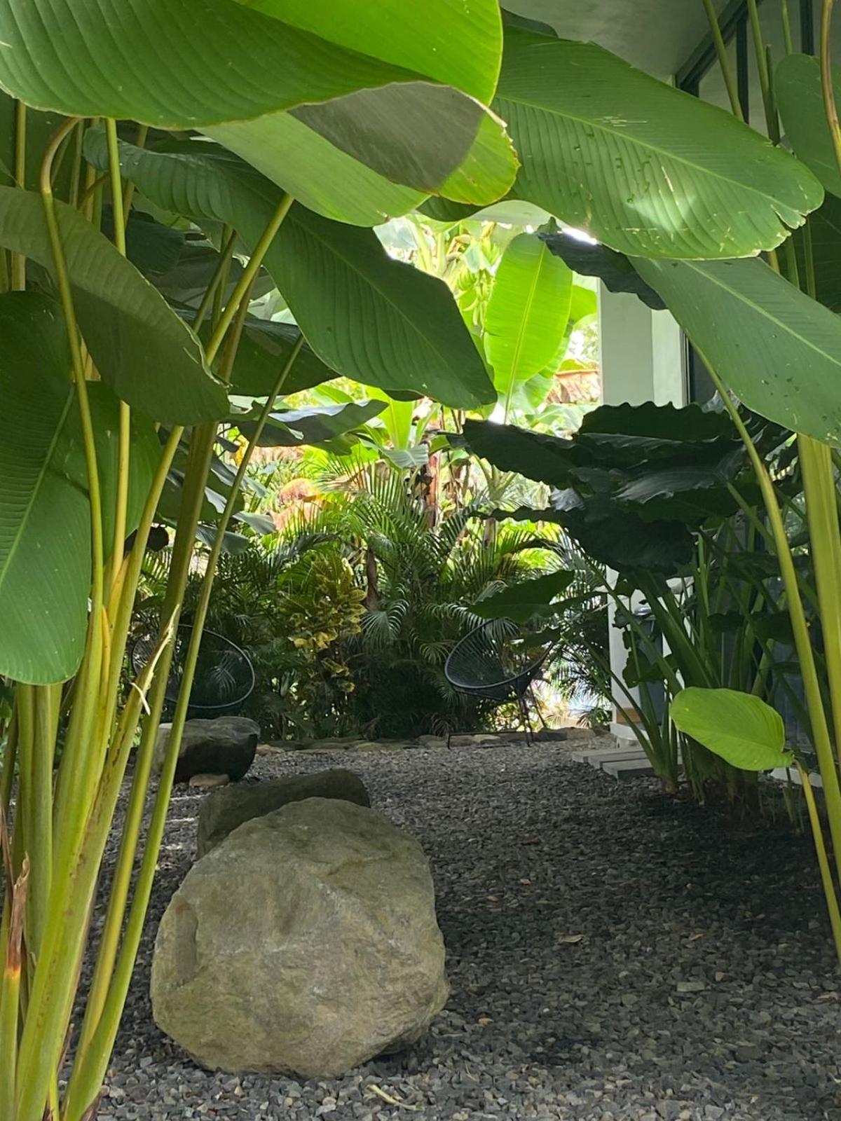 Toucan Home La Fortuna المظهر الخارجي الصورة